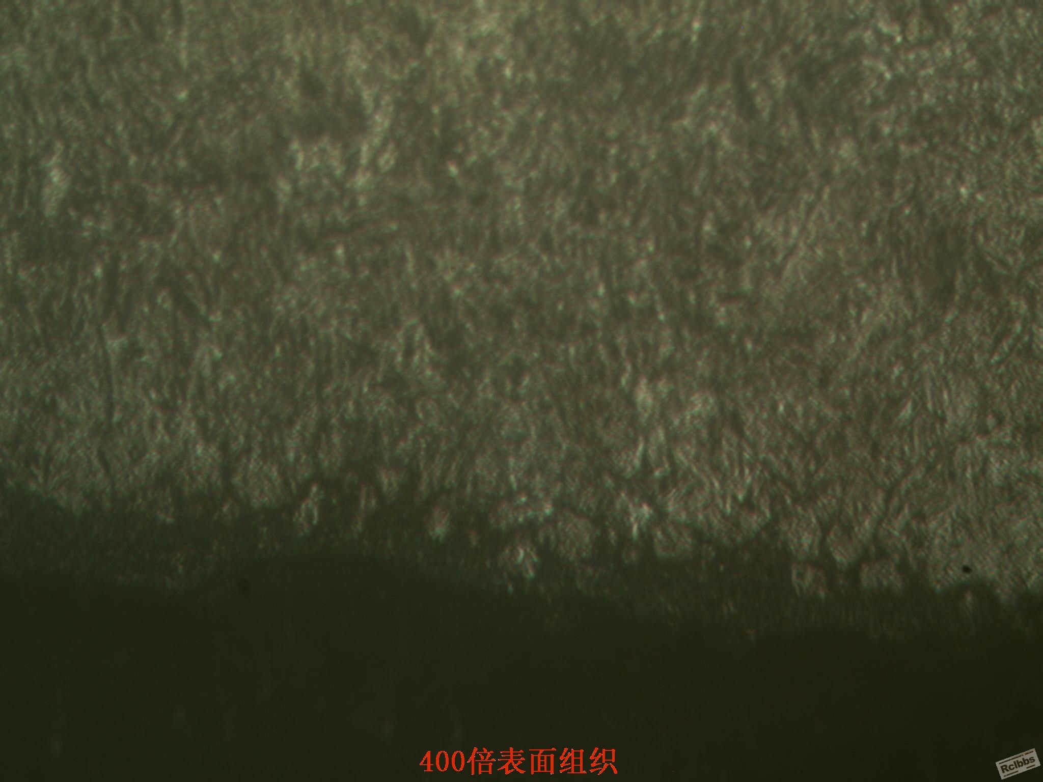 渗碳表面组织