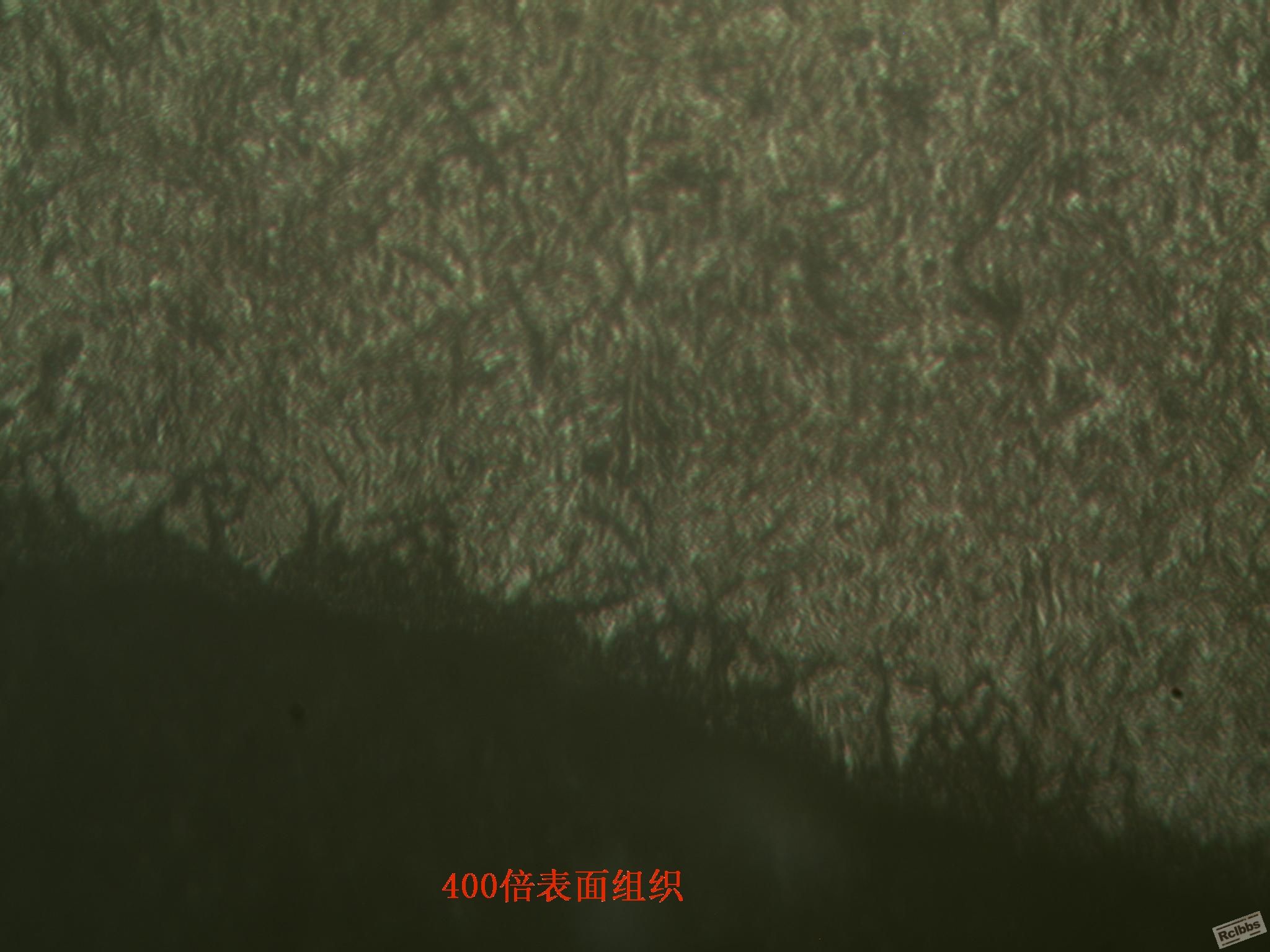 渗碳表面组织