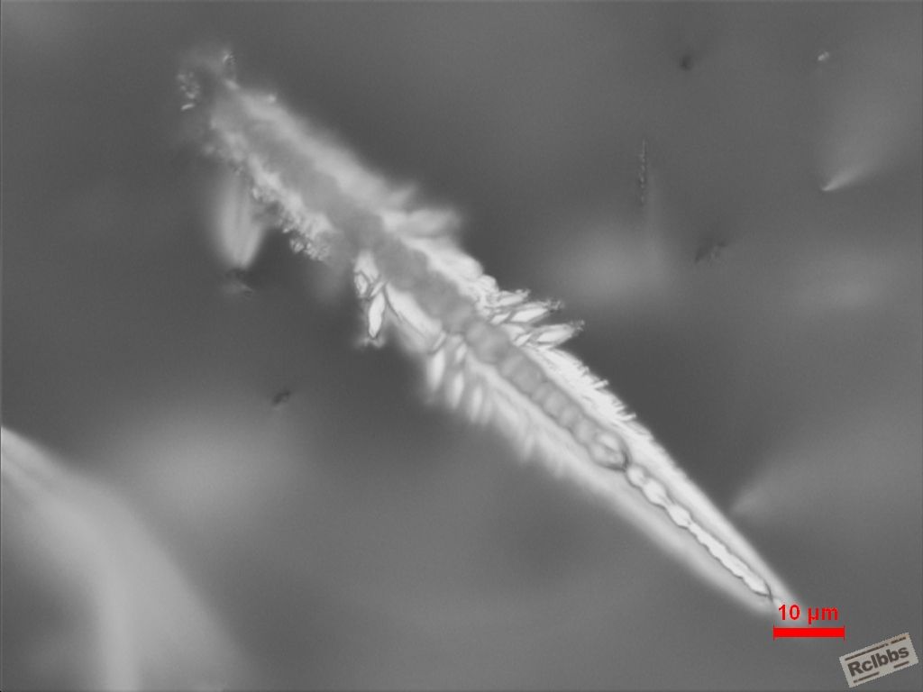 001-1000x.JPG