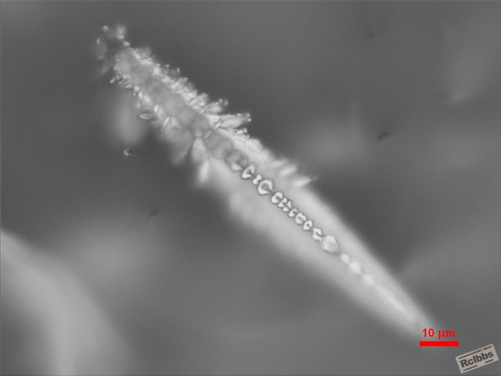 002-1000x.JPG