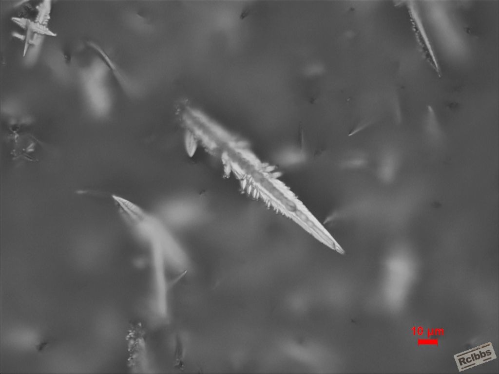 003-500x.JPG