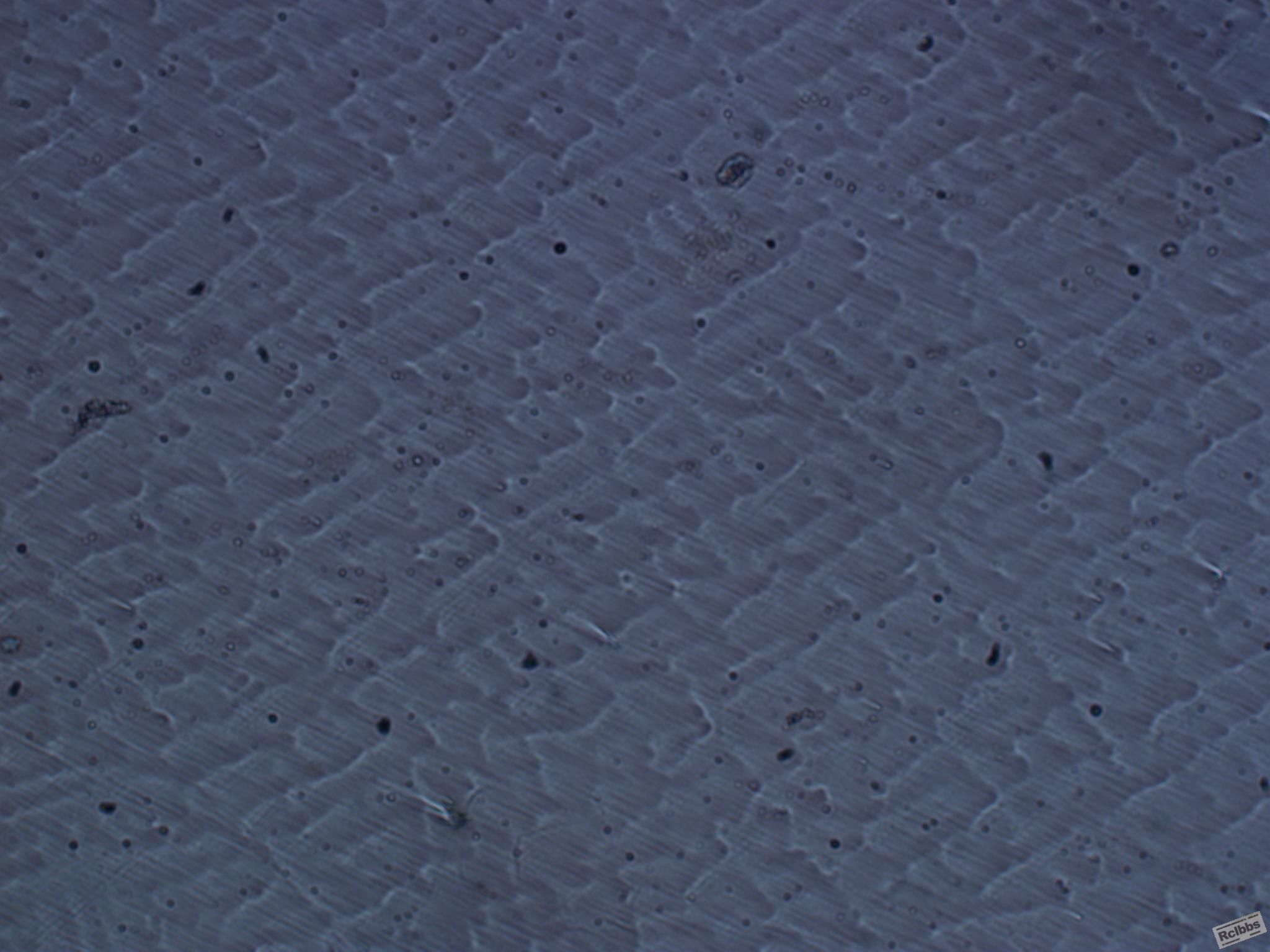 9.铸态50X