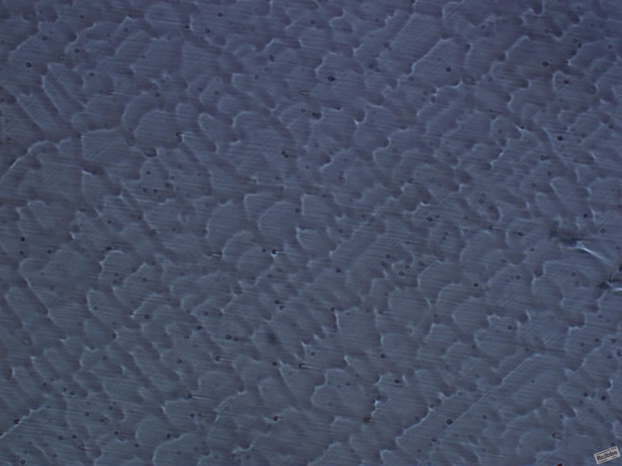 6.1100℃固溶50X