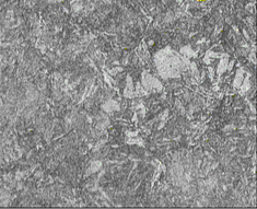 组织 2.gif