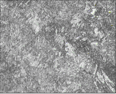 组织  1.gif