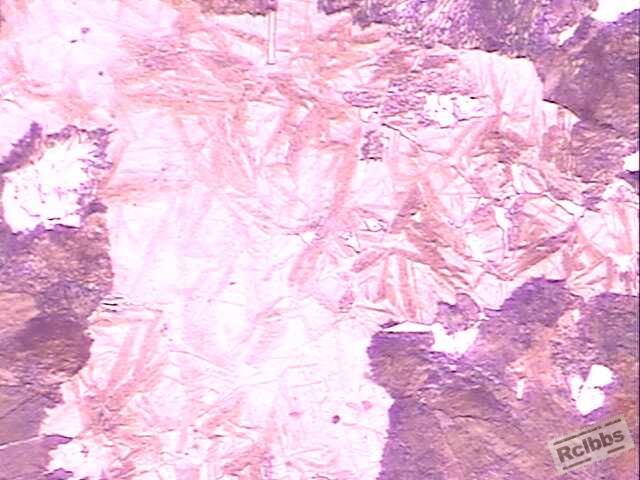 Image1.jpg