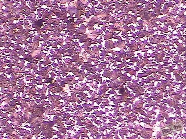 Image4.jpg