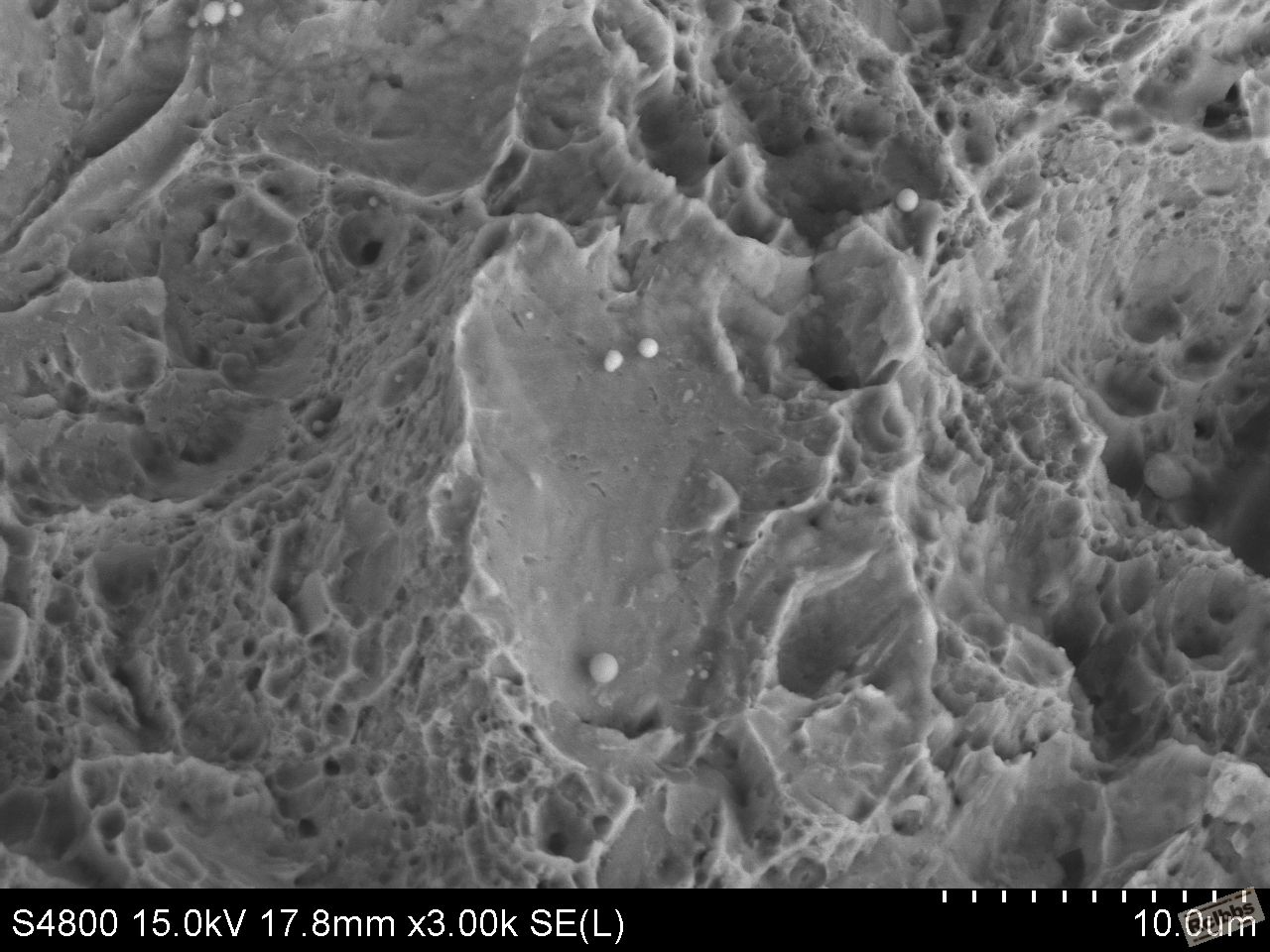 4_q474.JPG