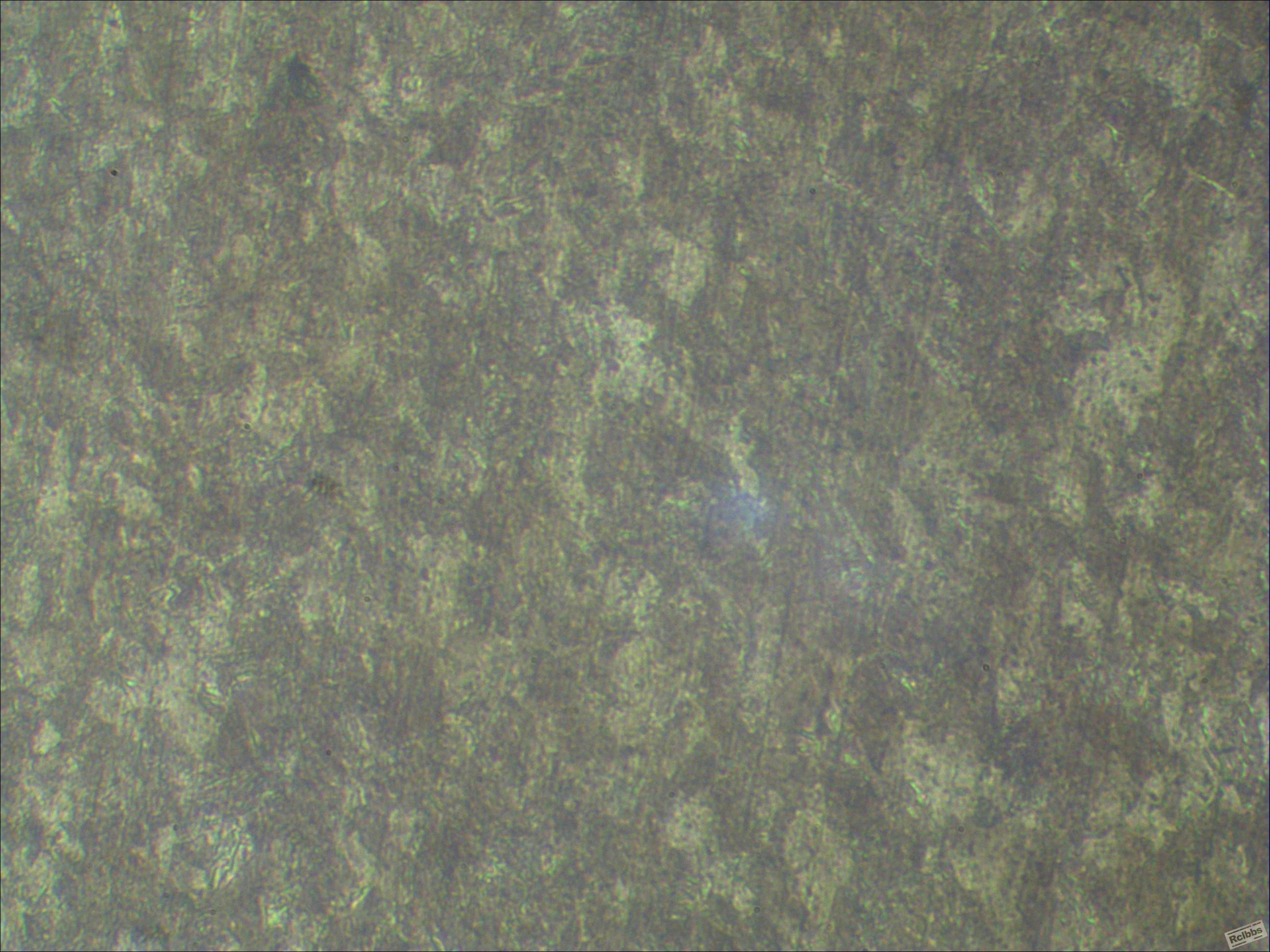 20120114NO2.jpg