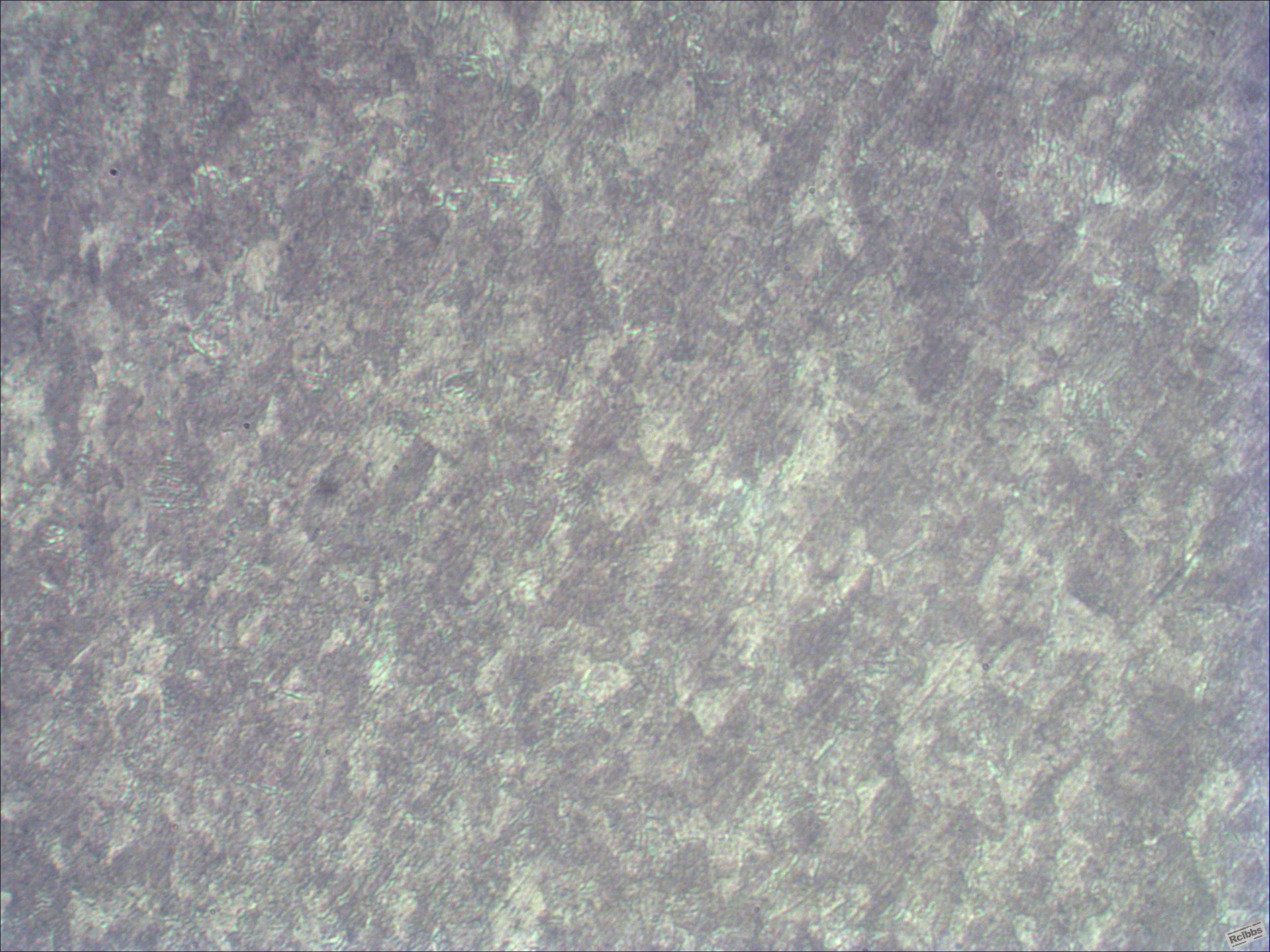 20120113NO1.jpg