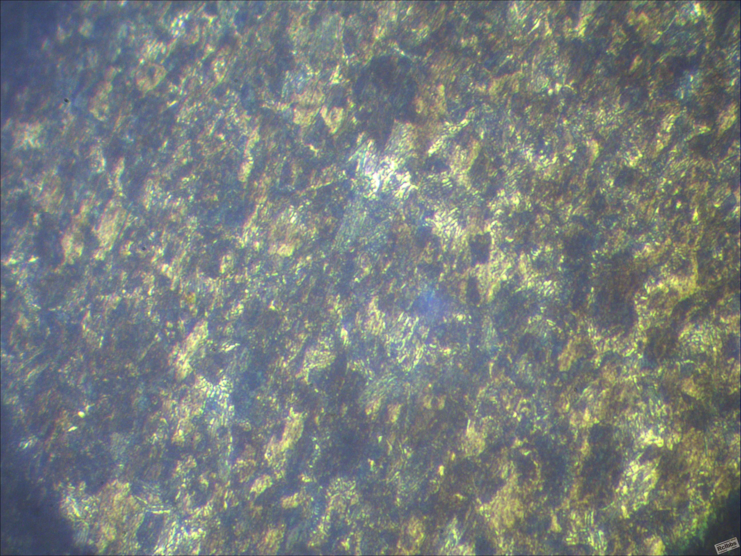 400倍5NO4.jpg