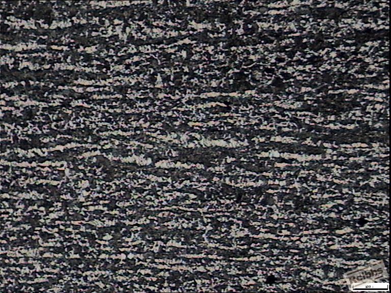 890   200 187.JPG