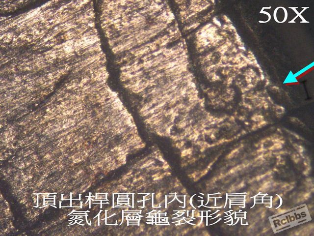 P1013268.jpg