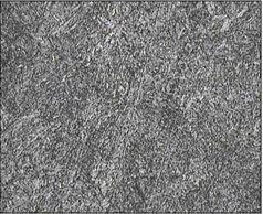 锻热淬火组织1.gif
