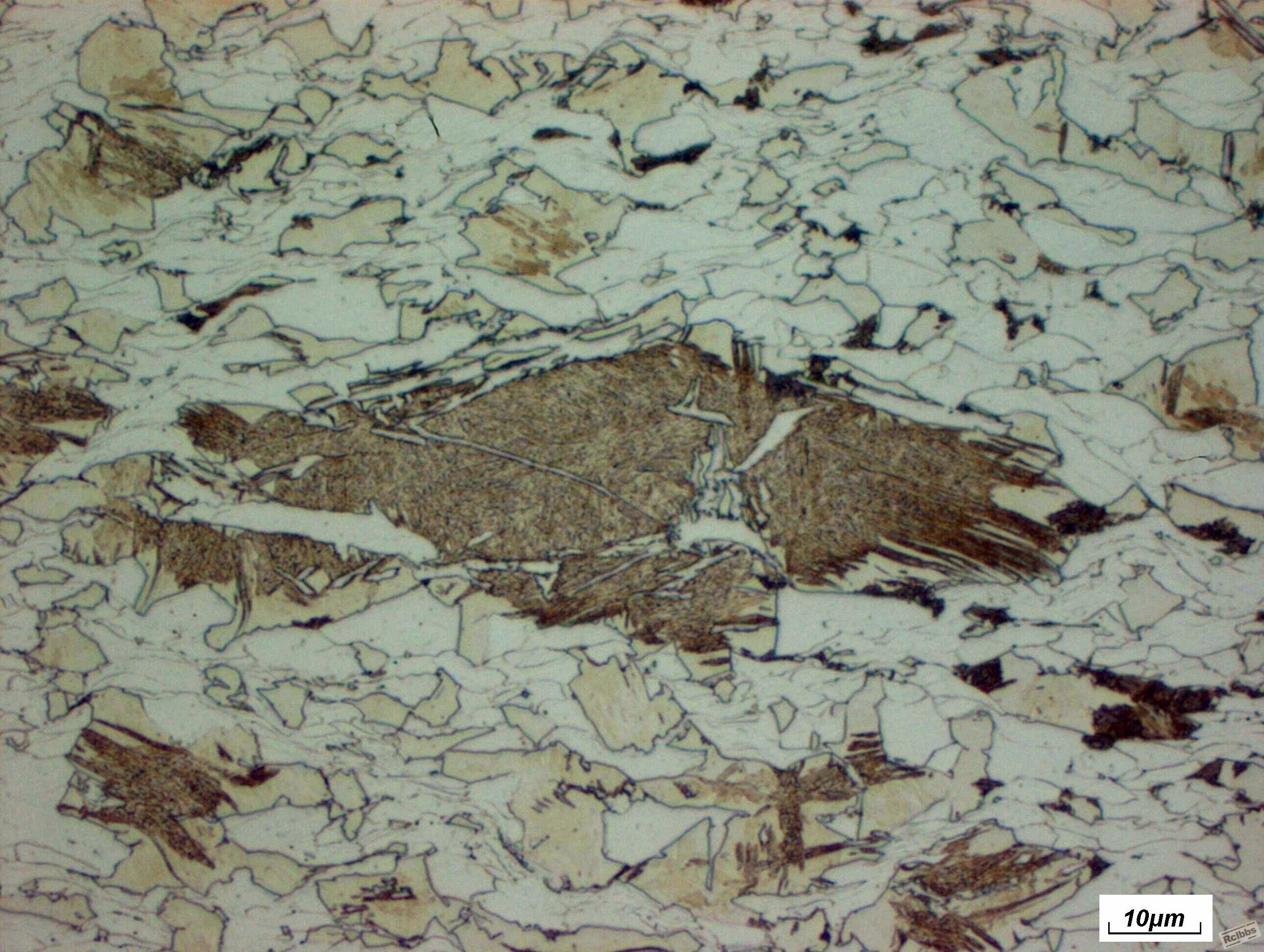e3552-1000-1.jpg