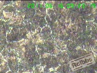 11061609376e09a59960724df2[1].jpg
