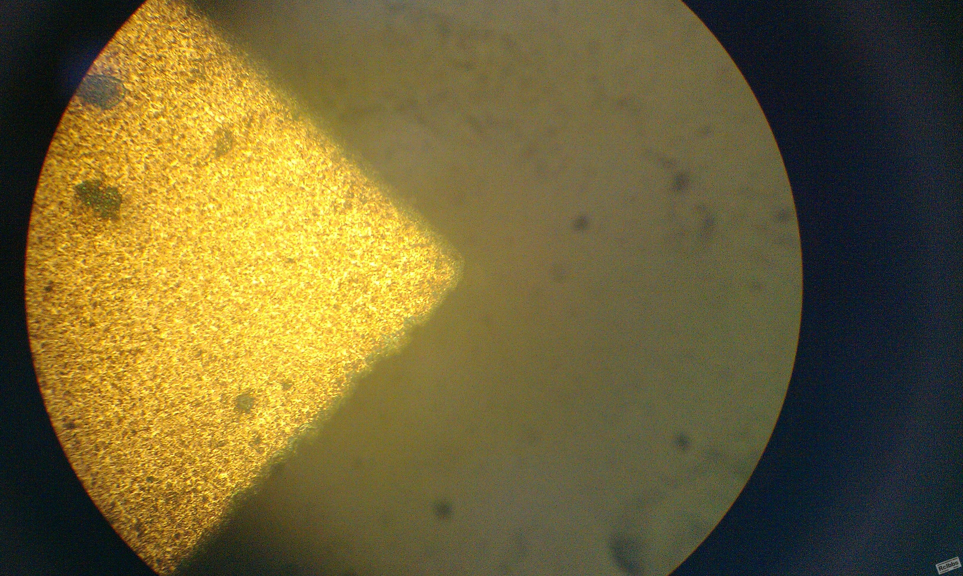 IMAG0109.jpg