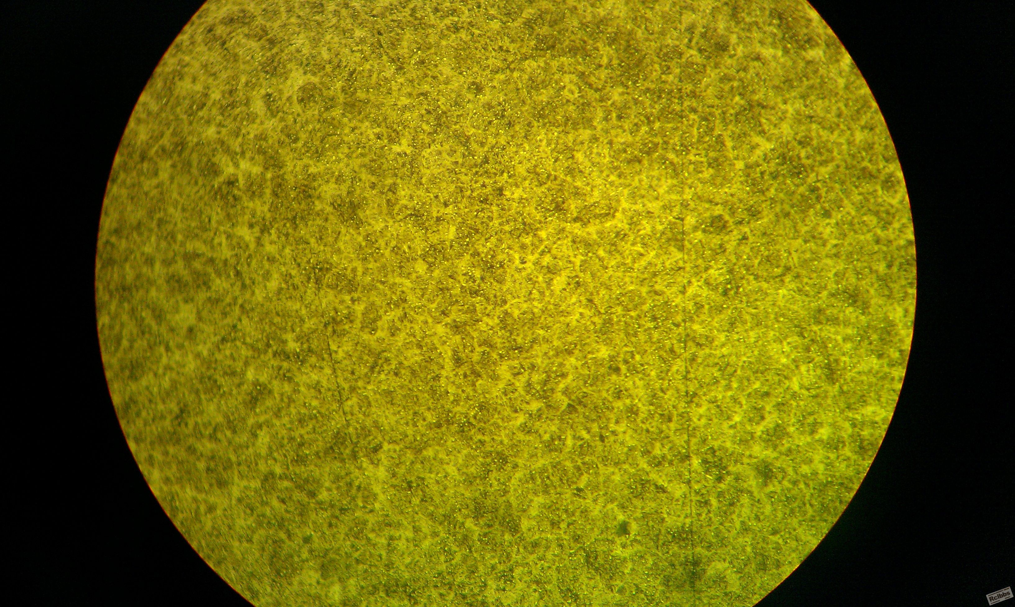 IMAG0106.jpg