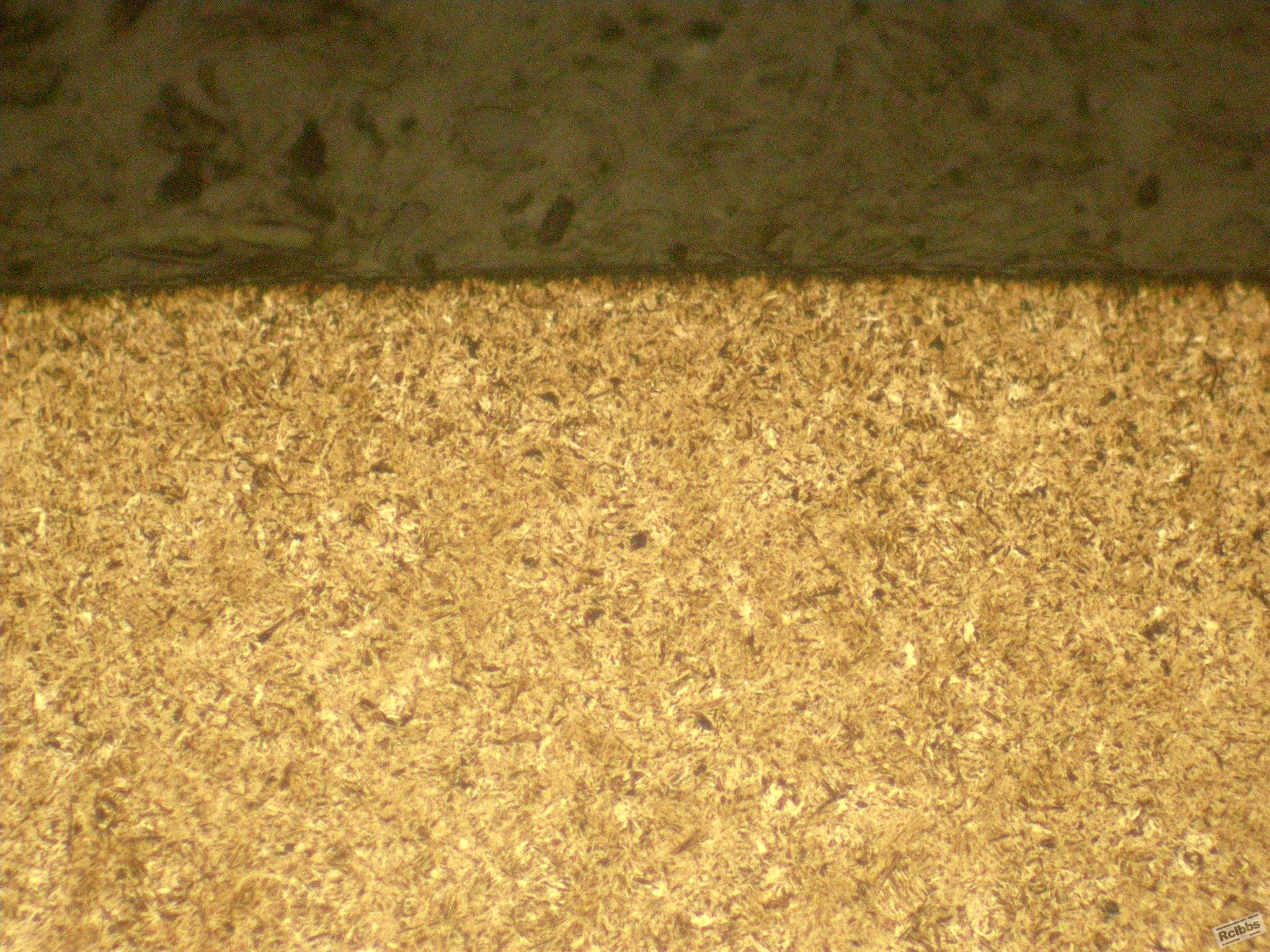 DSCN3303.JPG