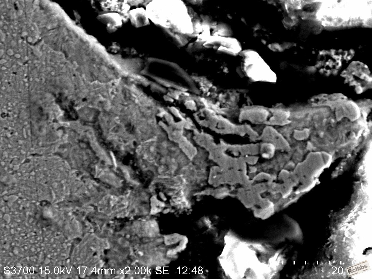 20120112_m001.jpg