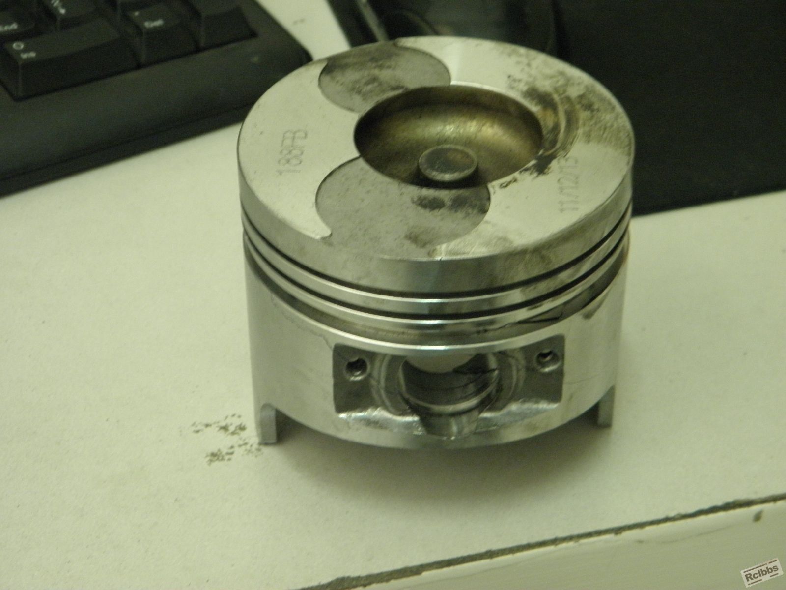 P3010009.JPG