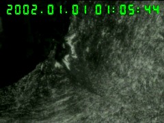 GV3_RGF62URHY]Z64[ZV8%U.jpg