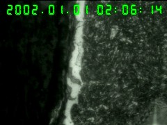 VKKWNJ63)5LC8_4Z(M_C4KJ.jpg