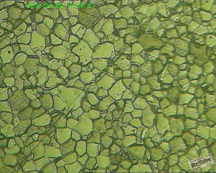 20120305-1.jpg