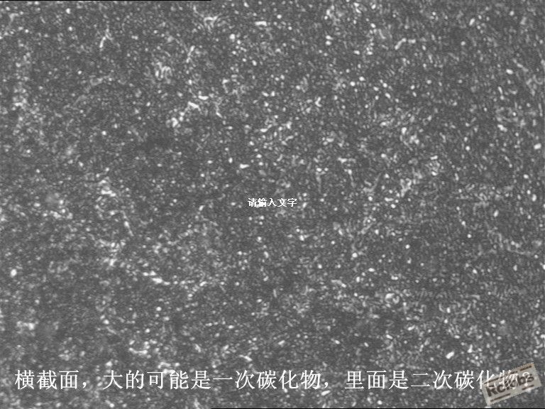 q_副本.jpg