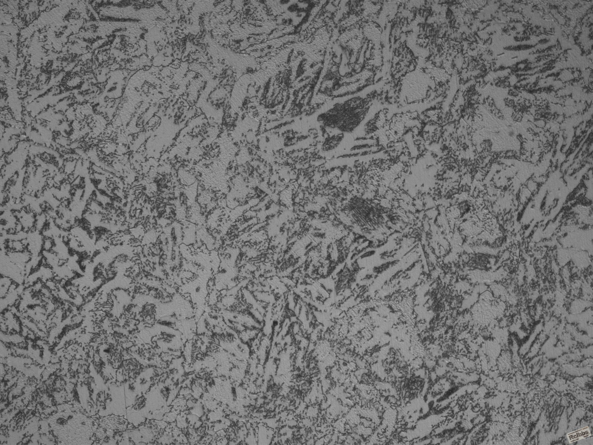 (100X)020316_001.JPG