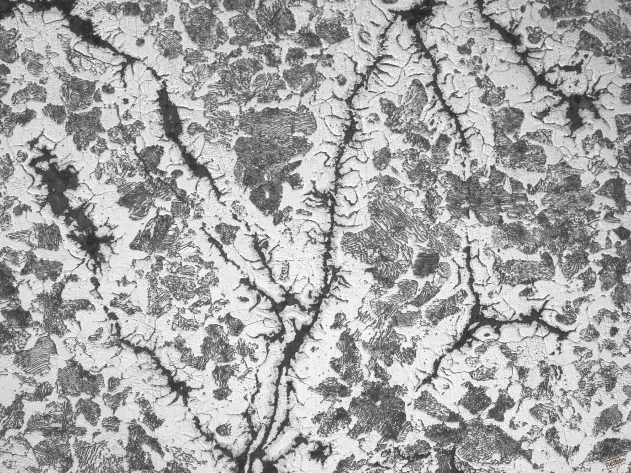 M155928(x500)020313_002.JPG