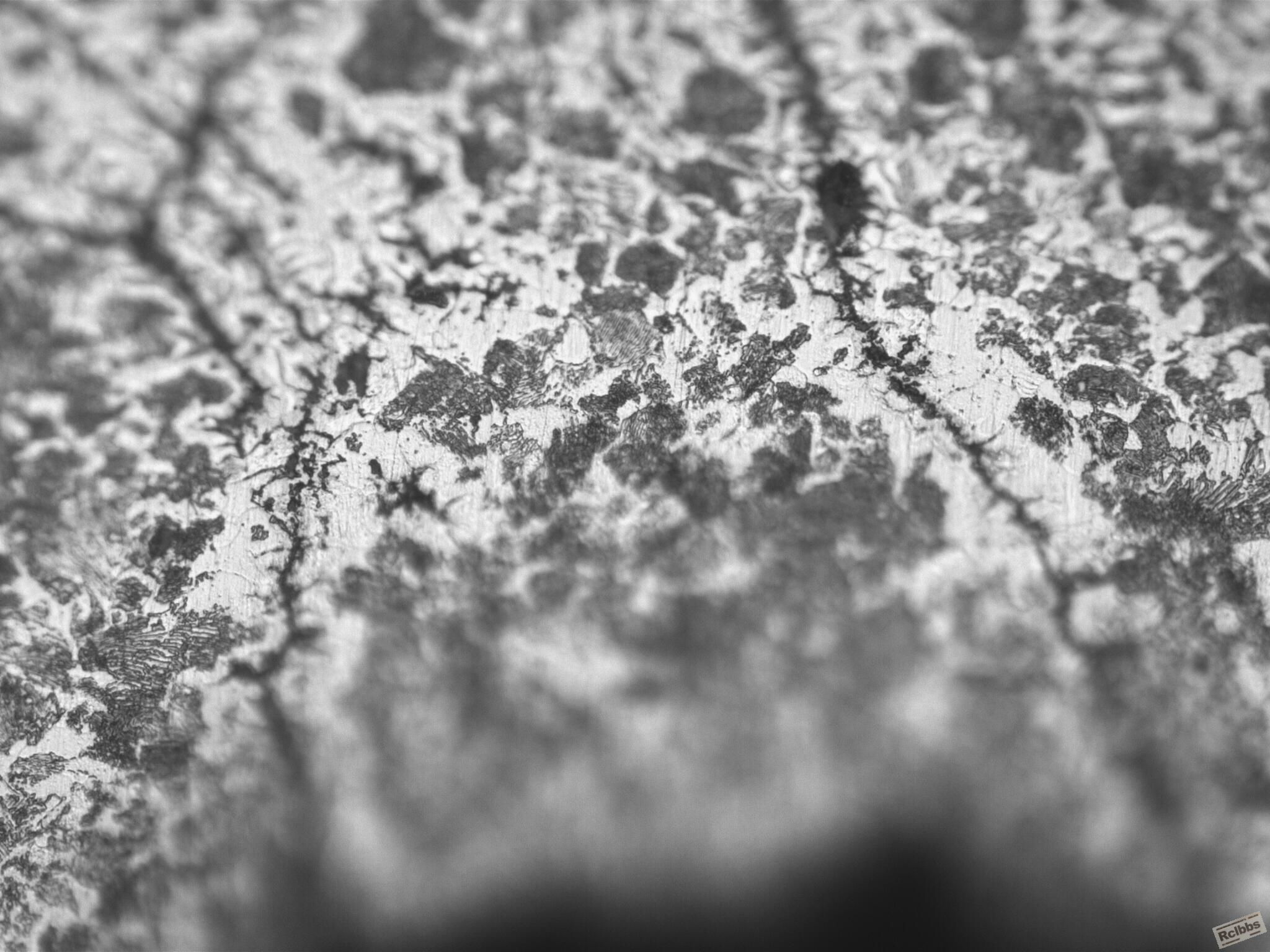 M155928(x500)020313_005.JPG