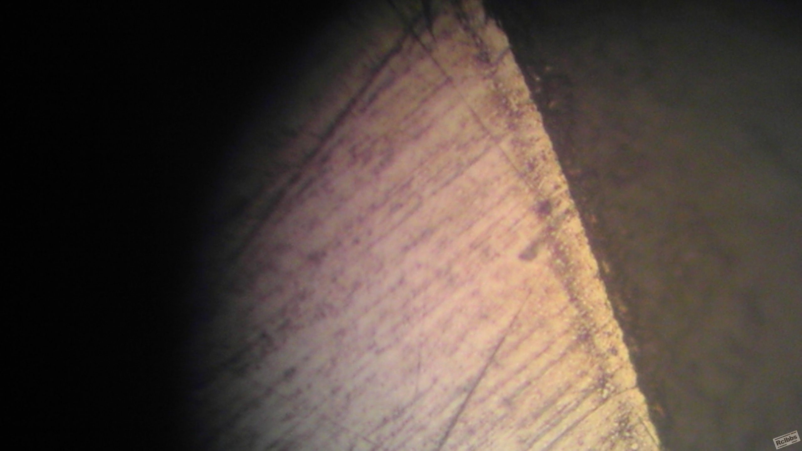IMAG0037.jpg
