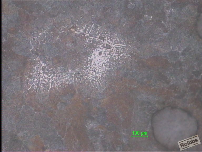 粒状渗碳体1.JPG