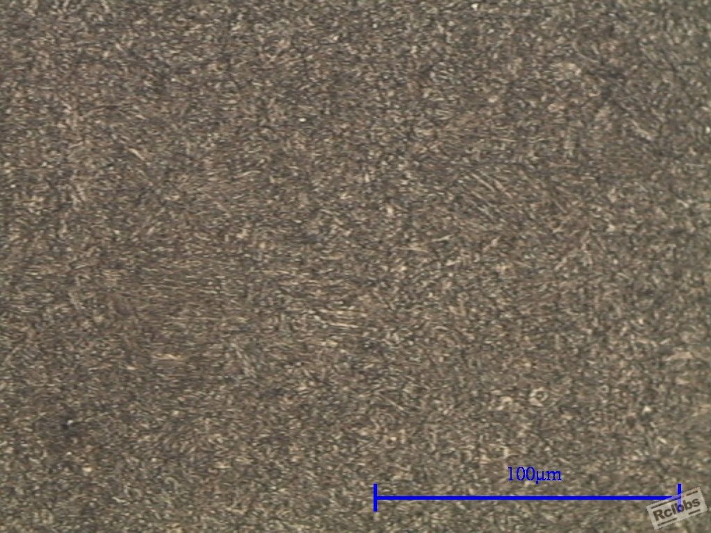 zdc 500x (20120323)-2.jpg