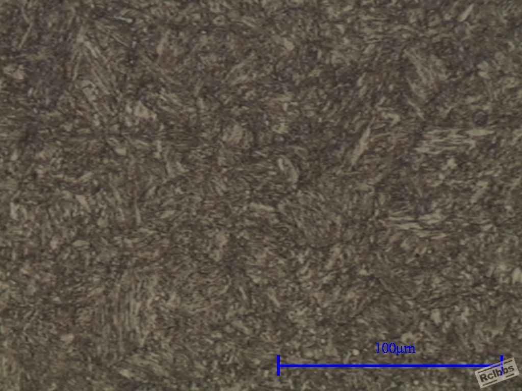 zdc2 1000x.jpg