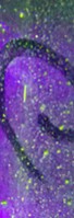 裂纹图片
