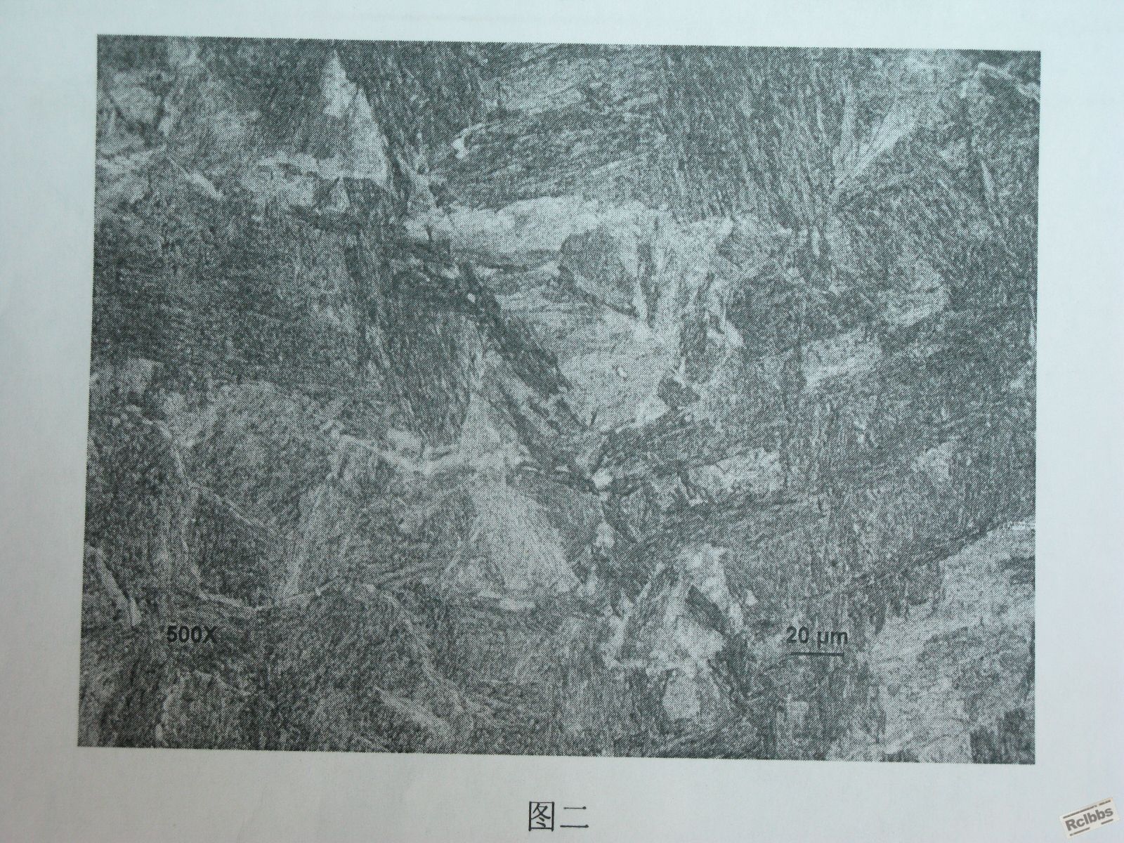 照片 011.jpg