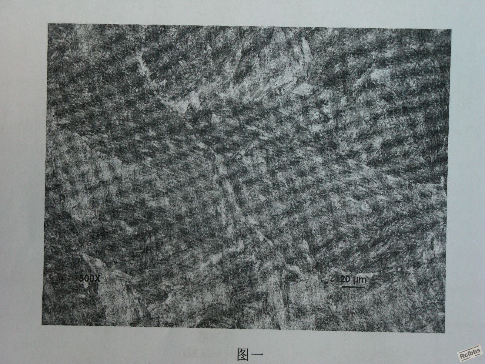 照片 012.jpg
