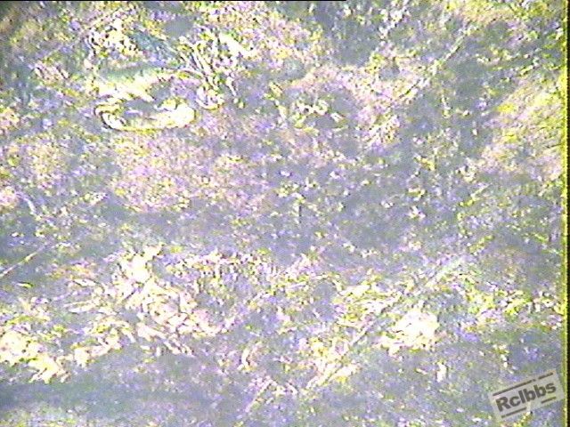 3-31-45钢钳头-2.jpg