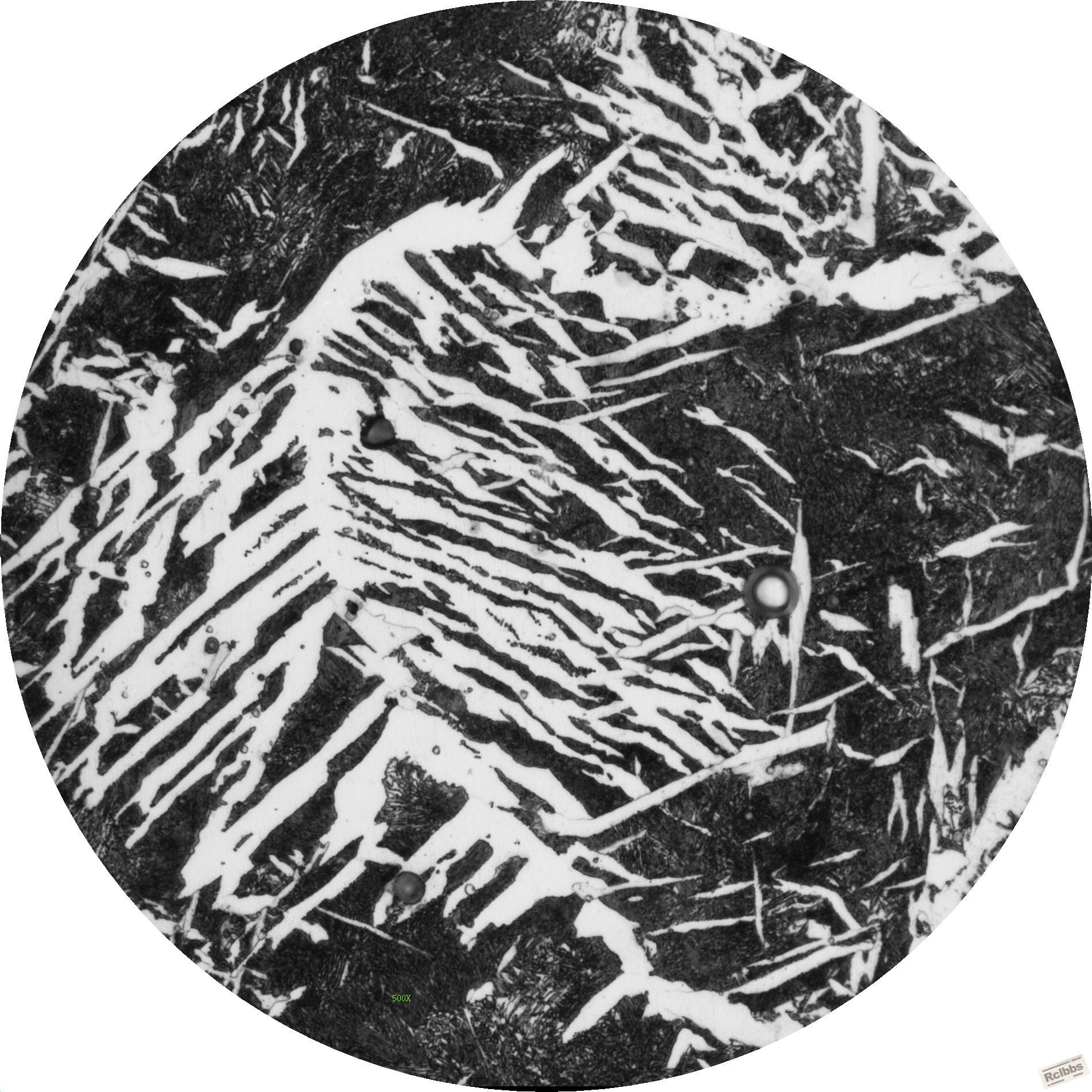 W-1.JPG