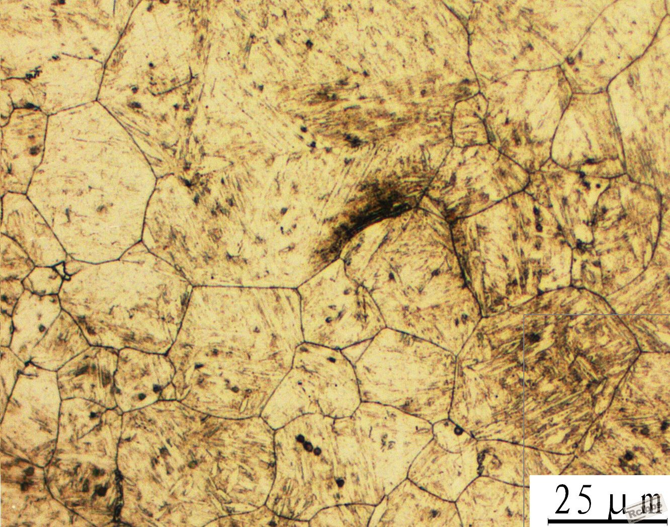 30CrMnSi晶粒度-2.JPG