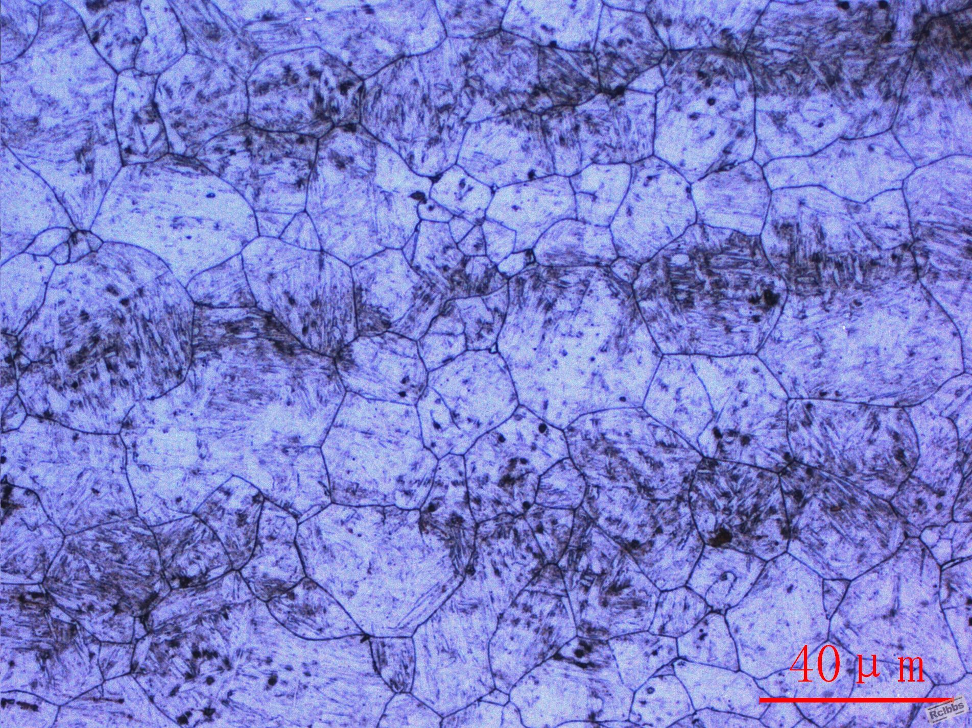 30CrMnSi晶粒度-4.JPG