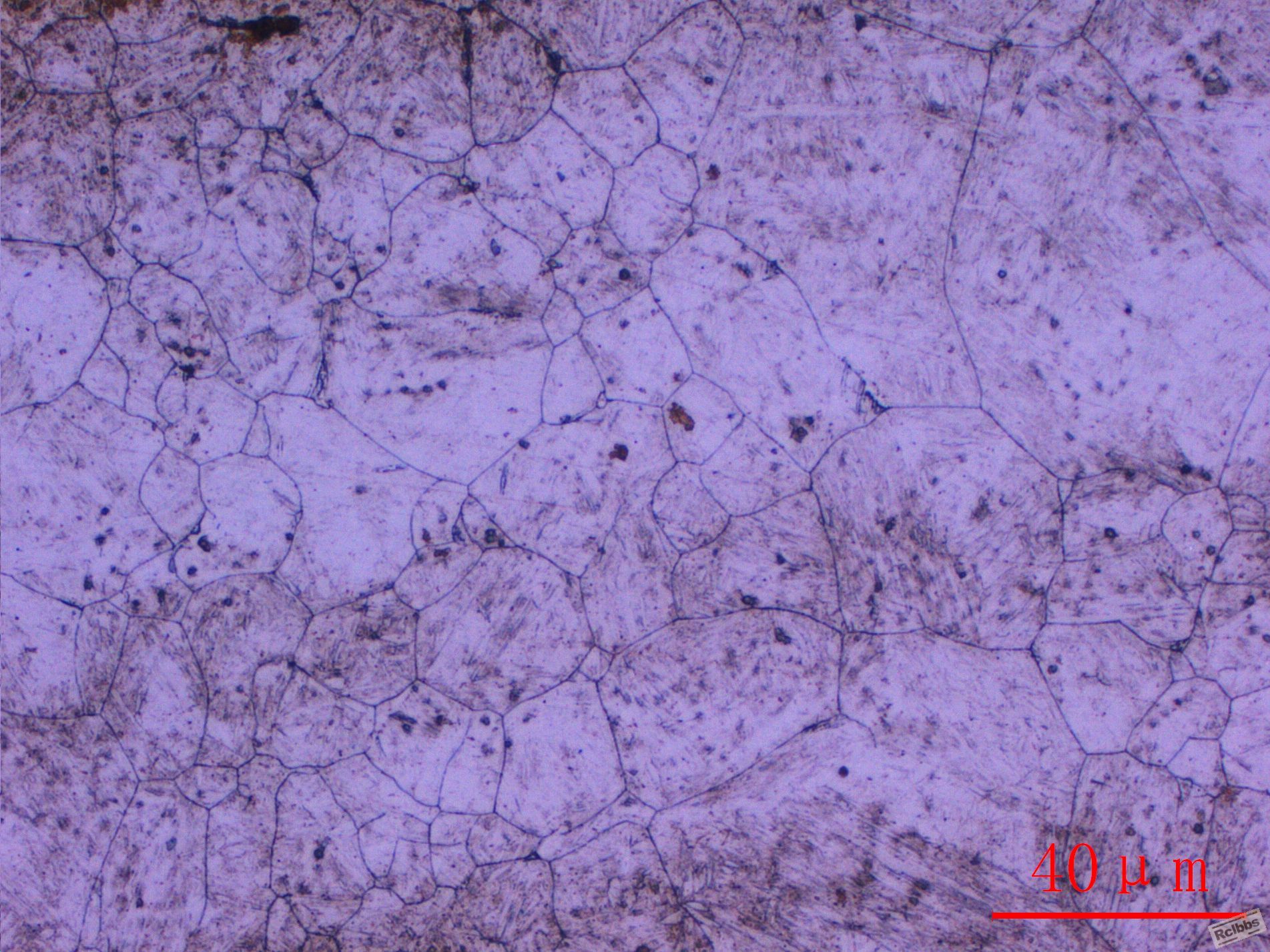 30CrMnSi晶粒度-5.JPG