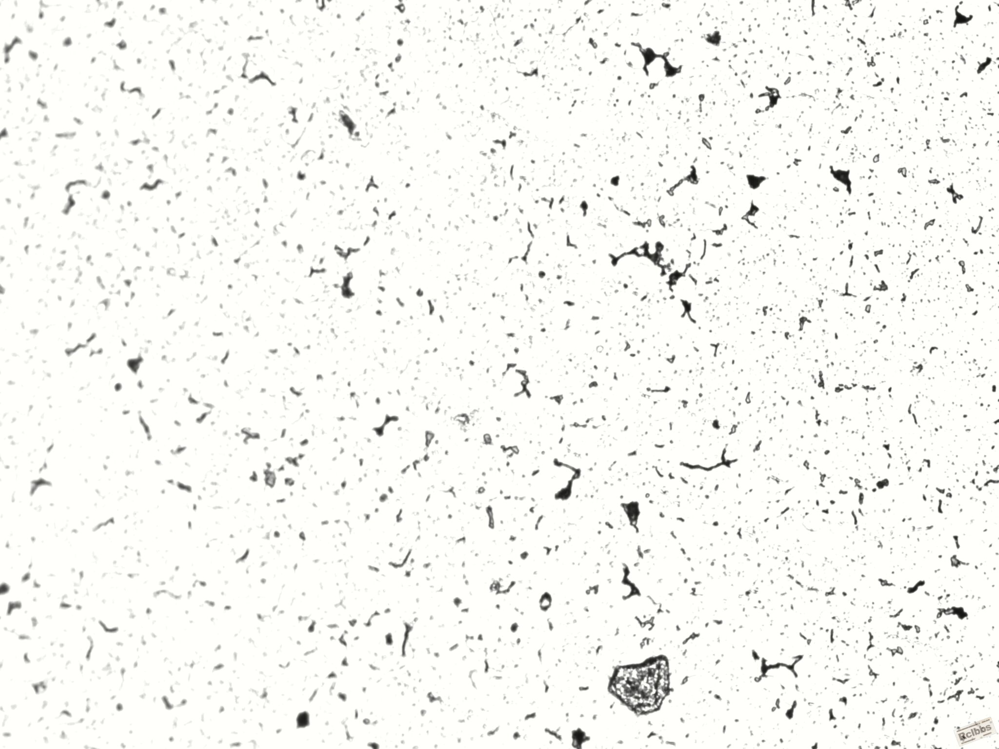 200x-0410.jpg