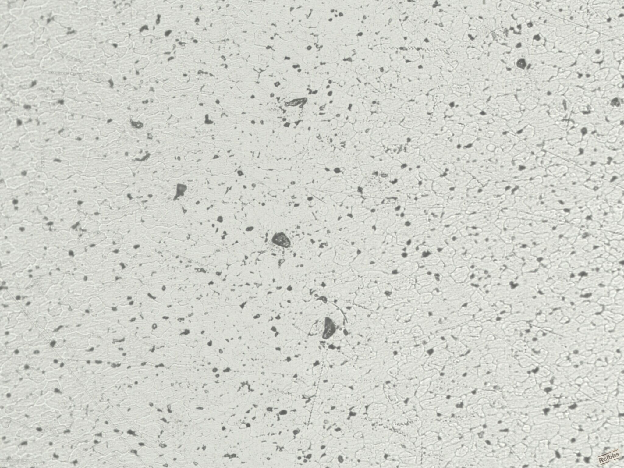 200x-0410c.jpg