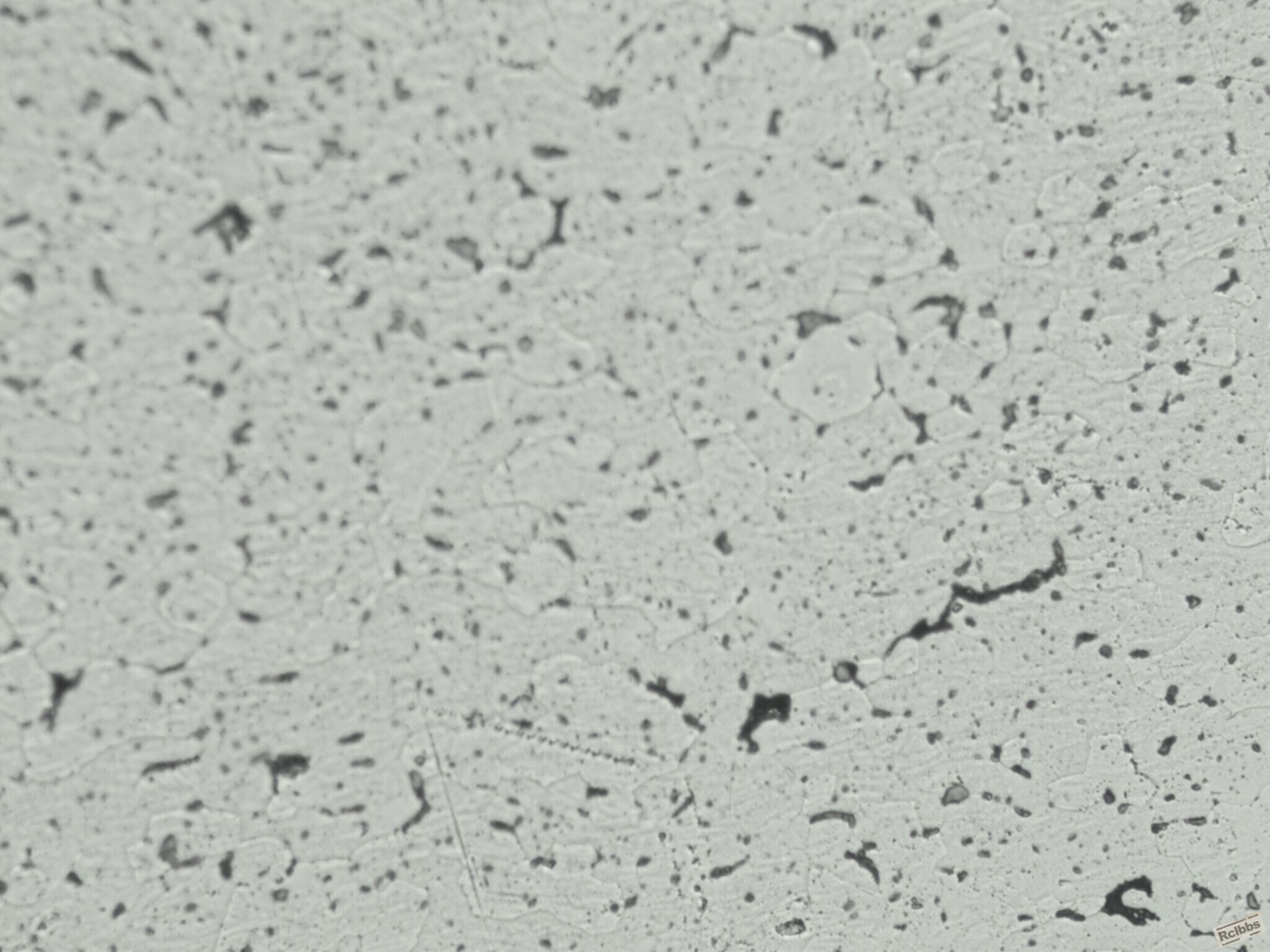 500x-0410b.jpg