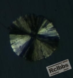 D20.JPG