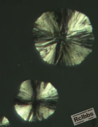 P50.JPG