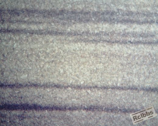 纵向原材料100倍 (2) (520x416).jpg